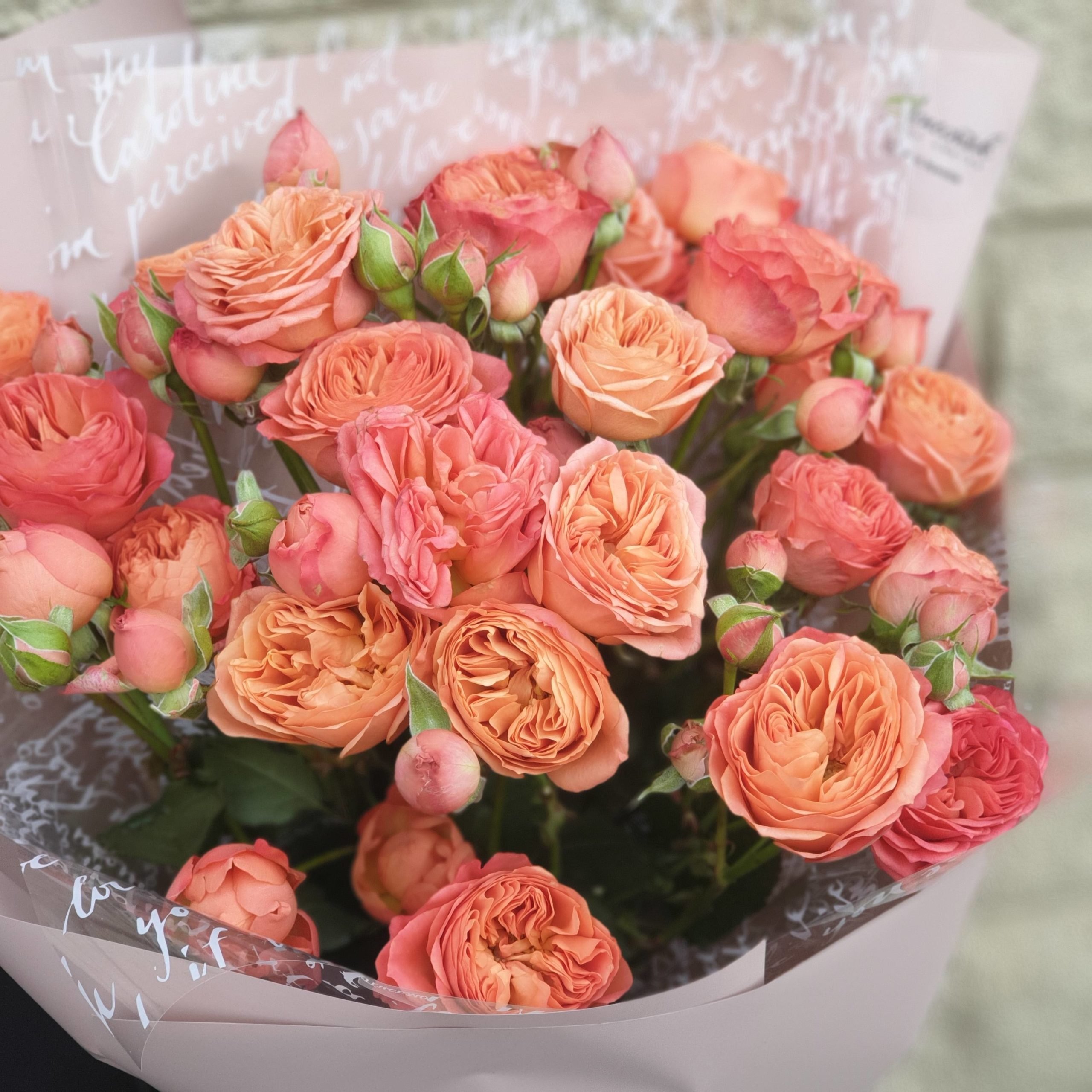Априкот Лейс (Apricot Lace)